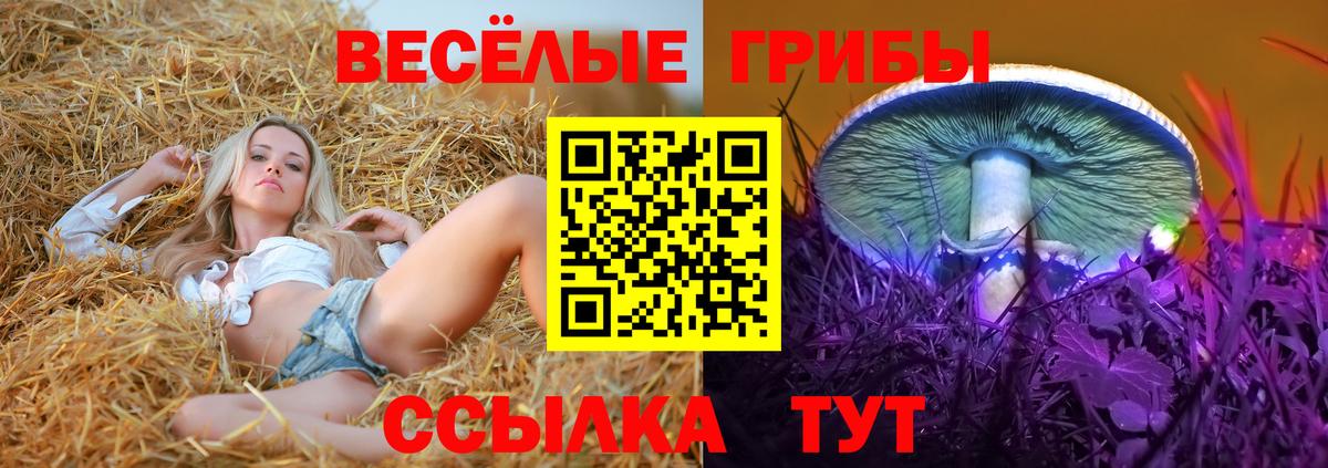 Галлюциногенные грибы мухоморы  Вход с VPN  дарнет шоп  Воткинск 